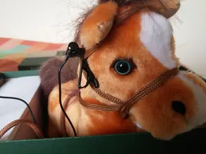 main image for A clever horse - Theory and applications