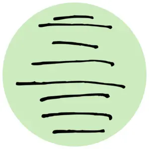 main image for WhyStartAt.xyz